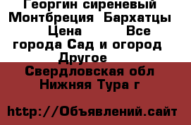 Георгин сиреневый. Монтбреция. Бархатцы.  › Цена ­ 100 - Все города Сад и огород » Другое   . Свердловская обл.,Нижняя Тура г.